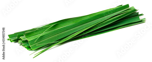 Fotografie fresh lemongrass leaves isolated on white background