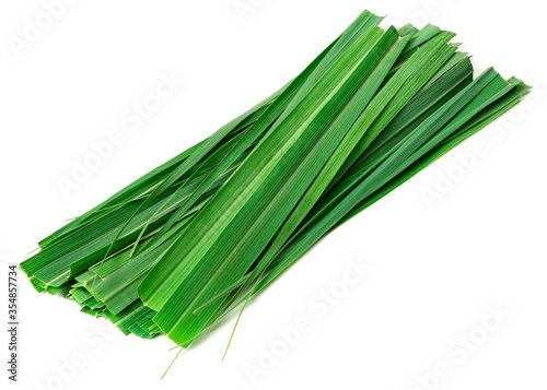 fresh lemongrass leaves isolated on white background