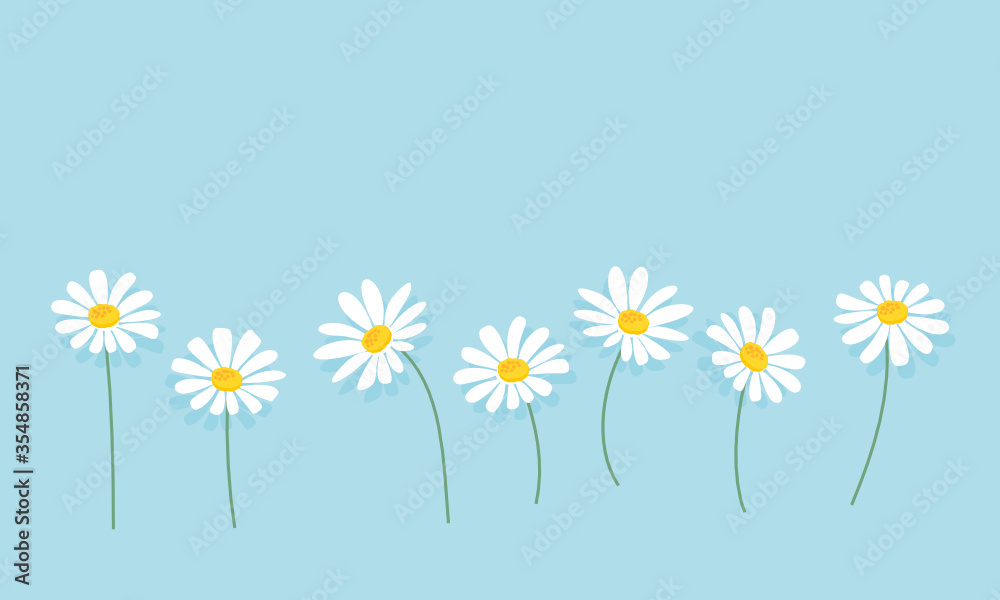 Daisy flower isolated on blue background vector. Daisy flower isolated on blue background vector.