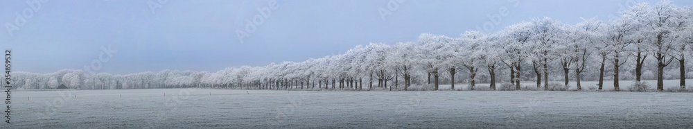 Winter. Snow. Frost. Frederiksoord Drenthe Netherlands. Maatschappij van Weldadigheid Winter. Snow. Frost. Frederiksoord Drenthe Netherlands. Maatschappij van Weldadigheid
