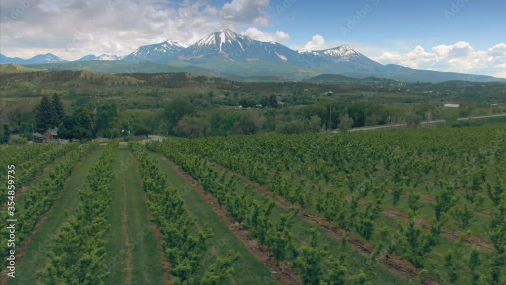 Aerial flying over an orchard and mountain range in the town of Paonia. Colorado, USA Aerial flying over an orchard and mountain range in the town of Paonia. Colorado, USA
