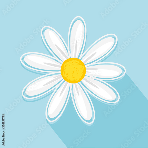 Daisy flower isolated on blue background vector.