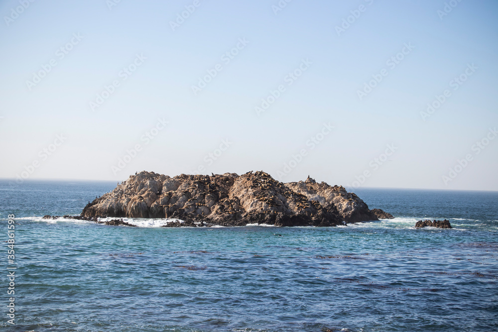 A bird rock with seals, pelicans and seagulls on the west coast of the USA.Large rough wave breaking over Bird Rock on a historic 17-Mile Drive at Monterey Bay on California Pacific Ocean coast.