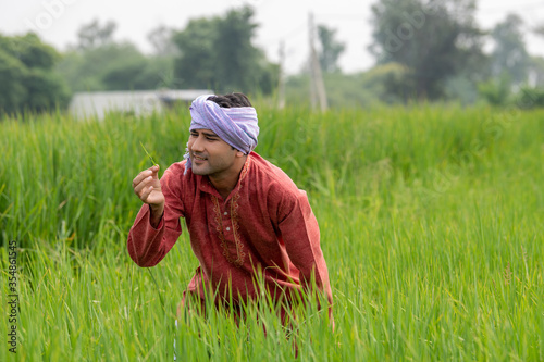 The Farmer rural India