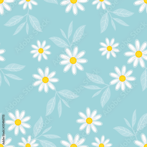 Daisy flower and leaves on blue background vector.