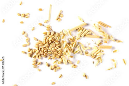 Ripe yellow crumbled wheat ears and kernels isolated on white background, plant texture top view