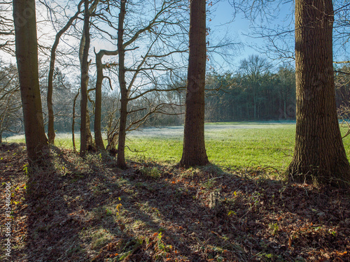 Landscapes at Maatschappij van Weldadigheid Frederiksoord Drenthe Netherlands © A