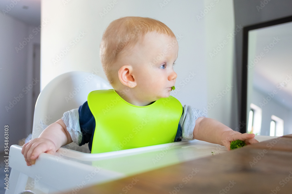 Red haired baby eating vegs by herself, taking and chewing broccoli. Little child wearing plastic bib, sitting in highchair. First solid food or child care at home concept Red haired baby eating vegs by herself, taking and chewing broccoli. Little child wearing plastic bib, sitting in highchair. First solid food or child care at home concept