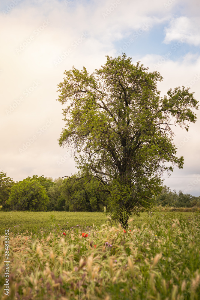 Obraz premium hiking in the mountain