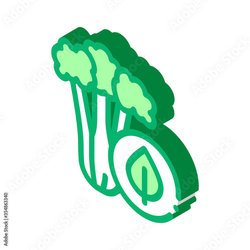 elery Plant Icon Vector. Isometric elery Plant sign. color isolated symbol illustration