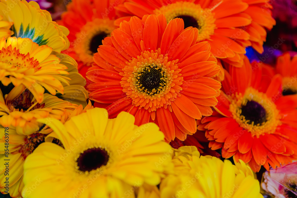 large bouquet of red and yellow flowers. bouquet of red and yellow spring flowers. flowers for a gift. large bouquet of red and yellow flowers. bouquet of red and yellow spring flowers. flowers for a gift.
