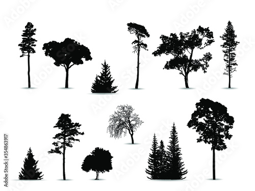 Black  silhouettes of trees on a white background. Vector illustration