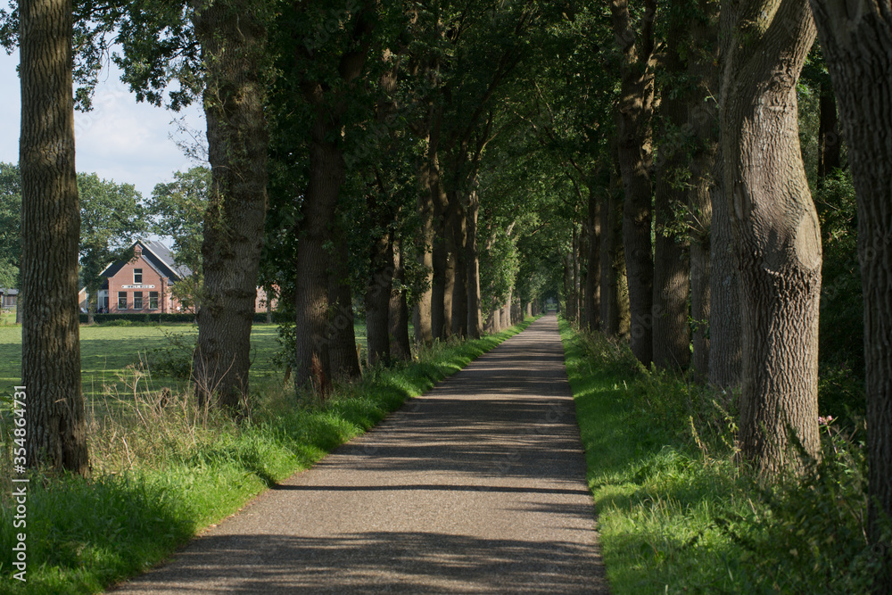 Historic farm. Immermoed. Frederiksoord Drenthe Netherlands. Maatschappij van Weldadigheid. Lane structure