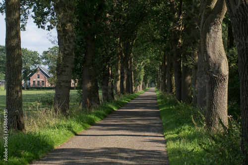 Historic farm. Immermoed. Frederiksoord Drenthe Netherlands. Maatschappij van Weldadigheid. Lane structure