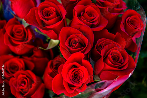 big bouquet of red flowers. bouquet of red roses. flowers for a gift