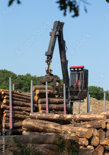 Forestry. Silviculture. Logging. Cut trees. Crane. Truck. Transport. Forest Maatschappij van Weldadigheid Frederiksoord. Drenthe. Netherlands