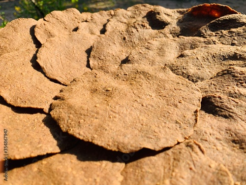 Dried crunchy rotten beans sheet stacking. Northern Thailand culture ingredient for cuisine.