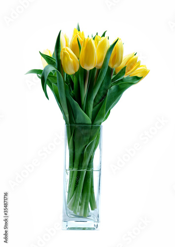 Fototapeta Naklejka Na Ścianę i Meble -  yellow tulips on white background