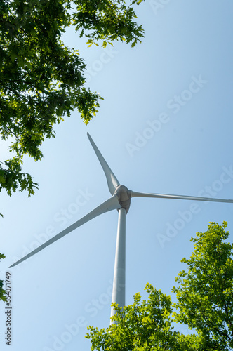 wind turbine and green plant