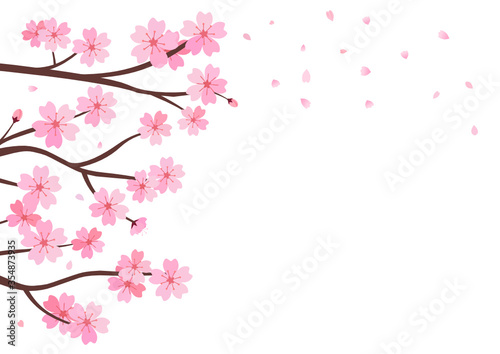 Cherry blossom branch and falling petal on white background vector. © Thanawat