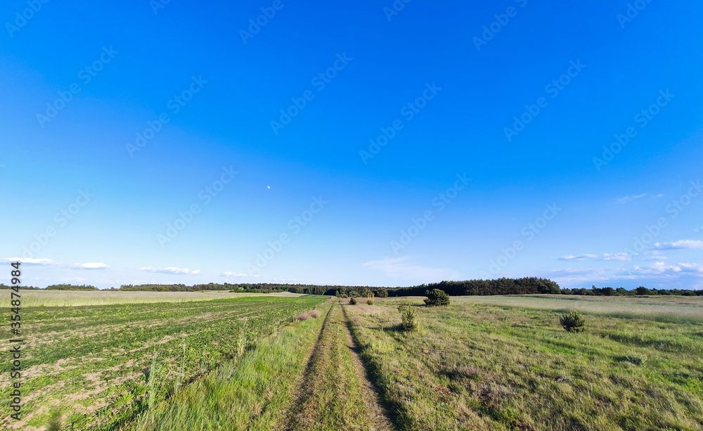 long straight road to the forest