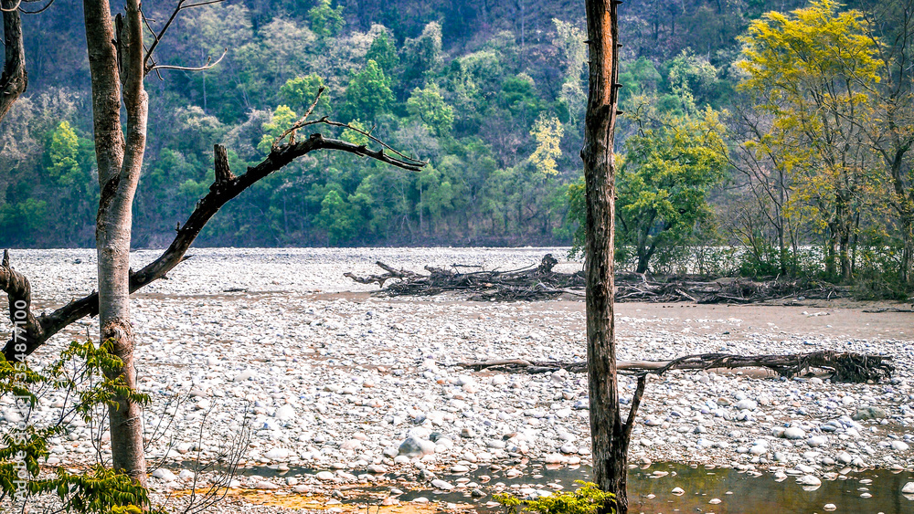Kosi River in uttarakhand /
River in India with white marbles and water  - obrazy, fototapety, plakaty 