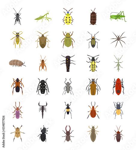 Invertebrates Flat Icons Set  © Vectors Market