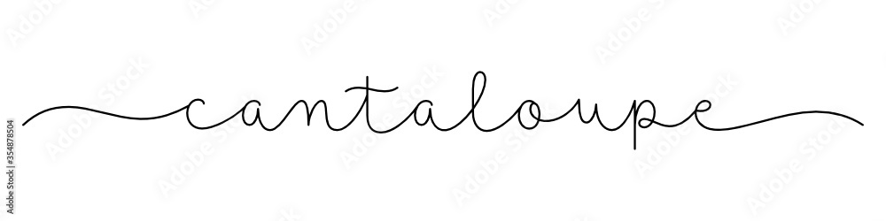CANTALOUPE black vector monoline calligraphy banner with swashes CANTALOUPE black vector monoline calligraphy banner with swashes