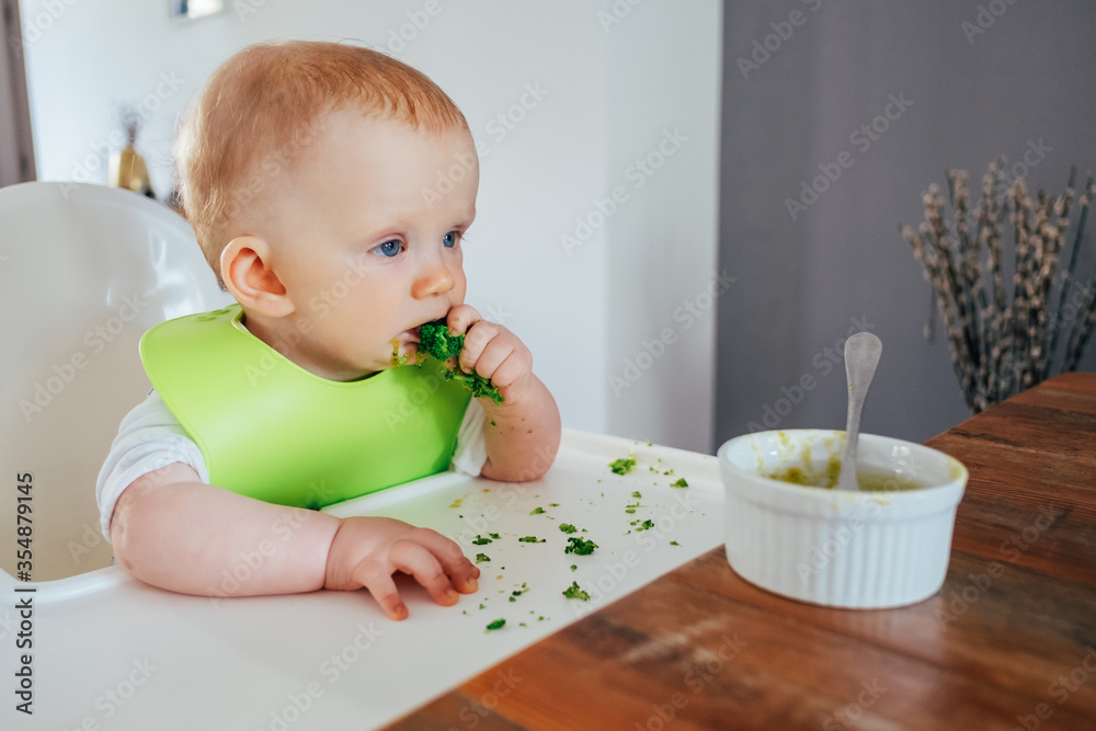 Baby girl eating broccoli by herself at dining table. Little child sitting on highchair at bowl with food. Led weaning and self-feeding concept Baby girl eating broccoli by herself at dining table. Little child sitting on highchair at bowl with food. Led weaning and self-feeding concept