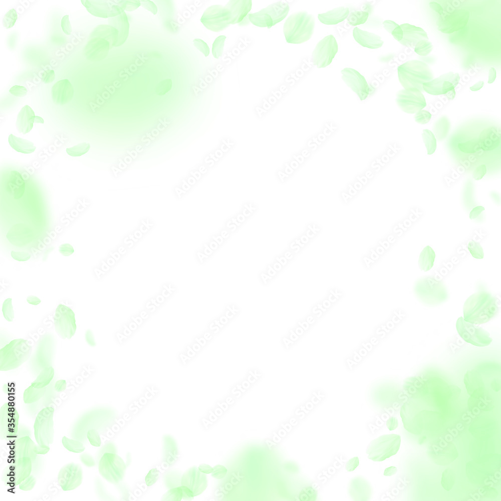 Green flower petals falling down. Superb romantic Green flower petals falling down. Superb romantic