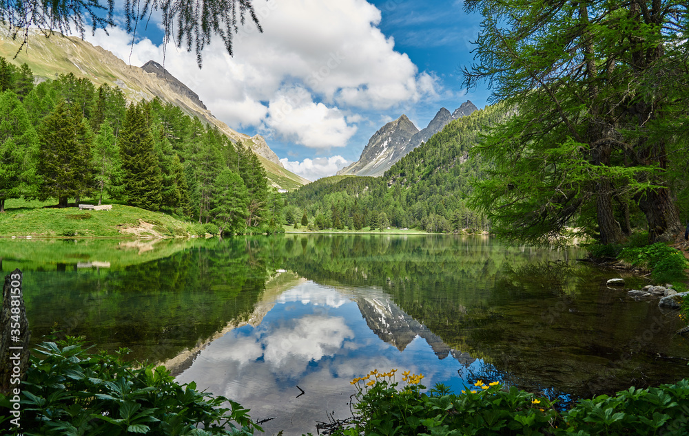 Fototapeta premium Landscape panorama of Lai da Palpuogna / Palpuognasee, mountain lake, Albula Pass in the municipality of Bergün, in the Grisons, Switzerland 