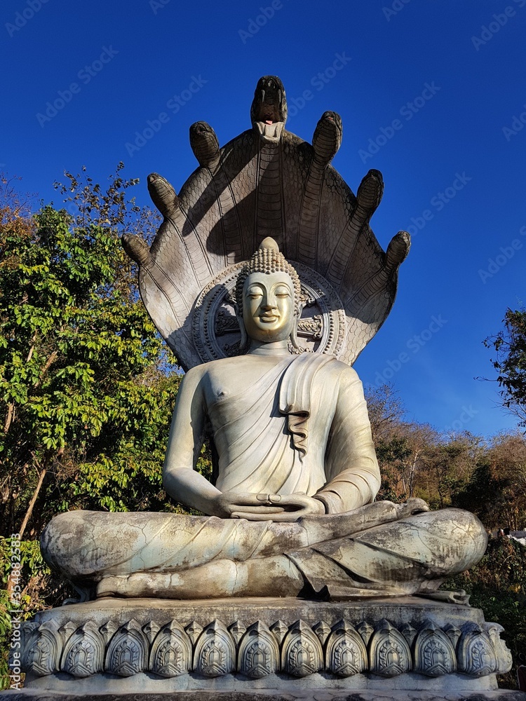 Obraz premium statue of buddha