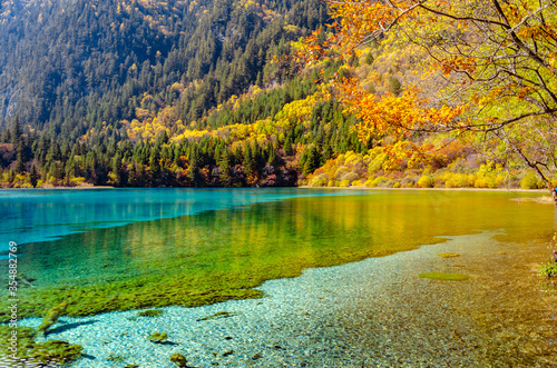 Obraz na płótnie Beautiful multi-color pond at famous Jiuzhaigou National park in autumn, the world heritage site near Chengdu Chinal. w salonie