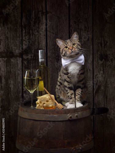  a cat in a tie sitting on a wine barrel with a glass of white wine and cheese and honey