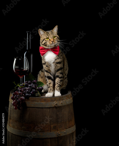 a cat in a tie sitting on a wine barrel with a glass of red wine and bunch of grapes