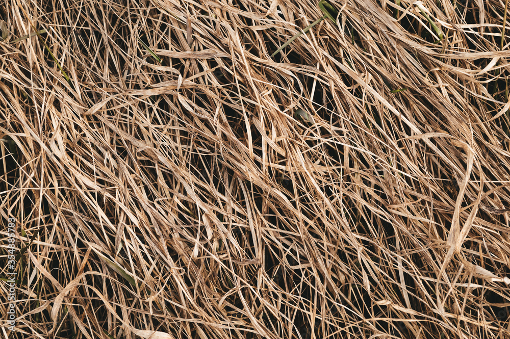 texture of straw texture of straw