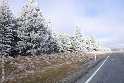 Frosty beautiful autumn morning scenery at the roadside during a trip through New Zealand at lake Tekapo near Mount Cook