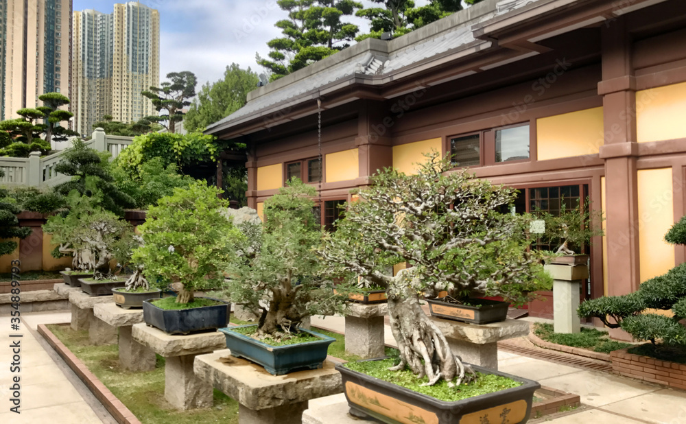 house in the garden