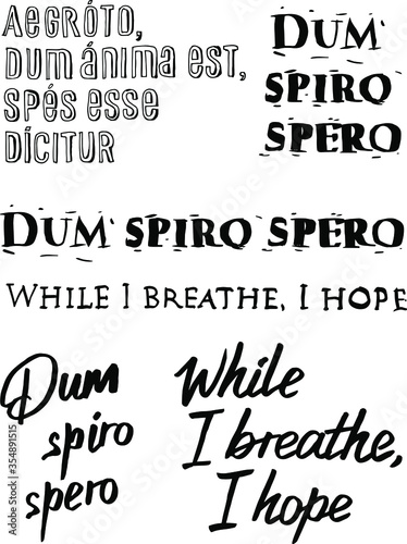 Latin and English lettering Dum Spiro Spero While I breathe, I hope photo