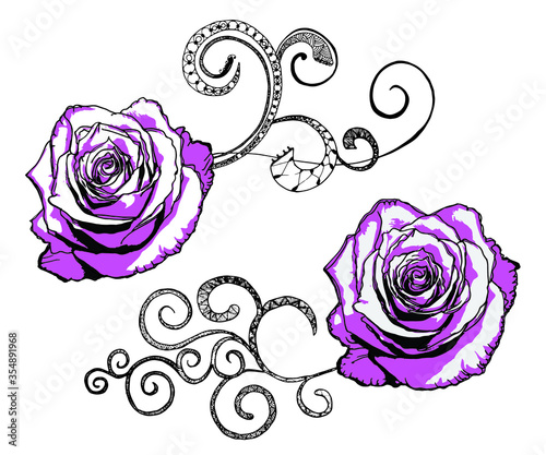 set of vector hand drawn roses black and magenta curled illustration