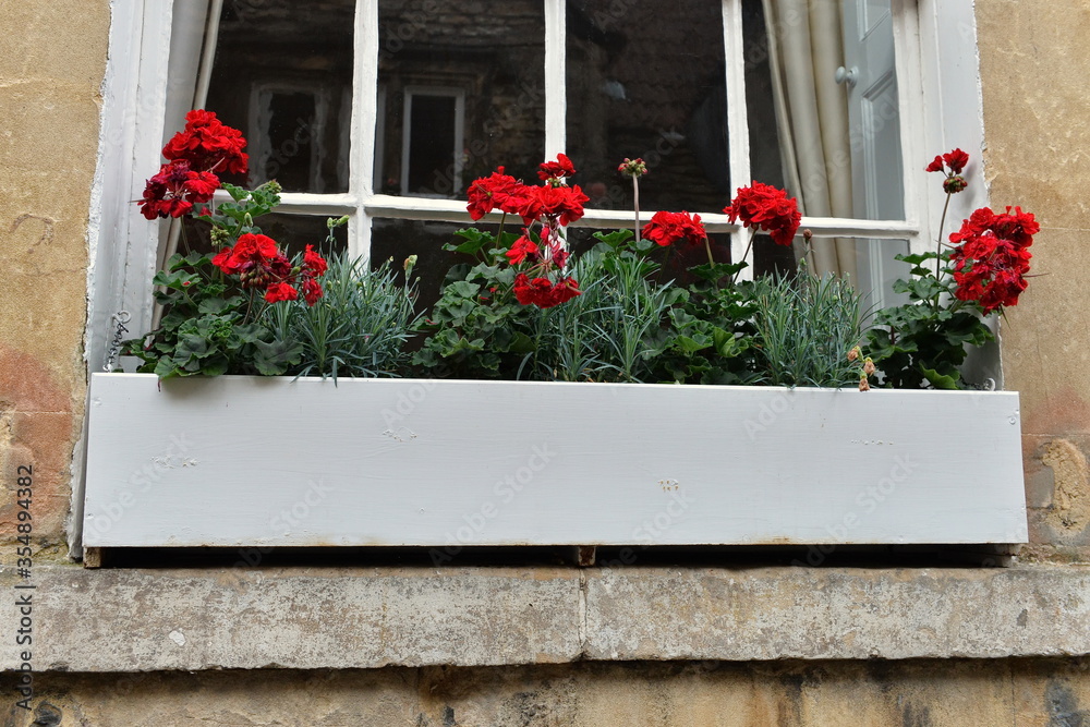 Naklejka premium Window Flower Box