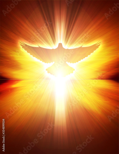 shining dove with rays on a dark