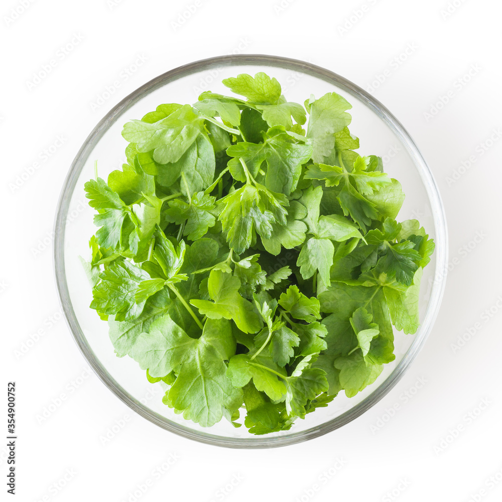 Fresh parsley leaves in glass bowl isolated on white background with clipping path Fresh parsley leaves in glass bowl isolated on white background with clipping path