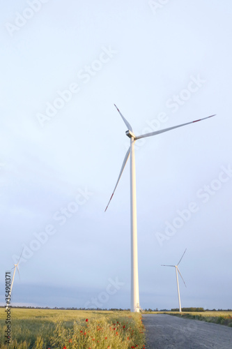 wind farms in the field © Tetiana