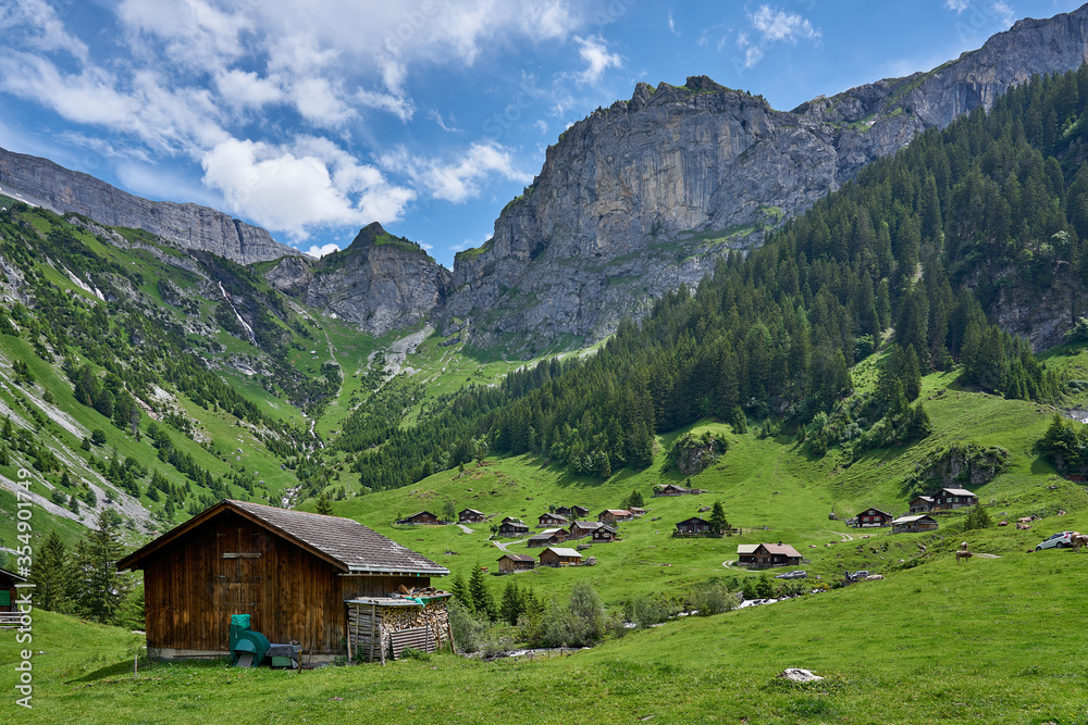 Beautiful landscape panorama from Swiss Alps, with cows, waterfall, meadow and farm houses. Taken in Äsch (Asch) village, canton of Uri, Switzerland. 