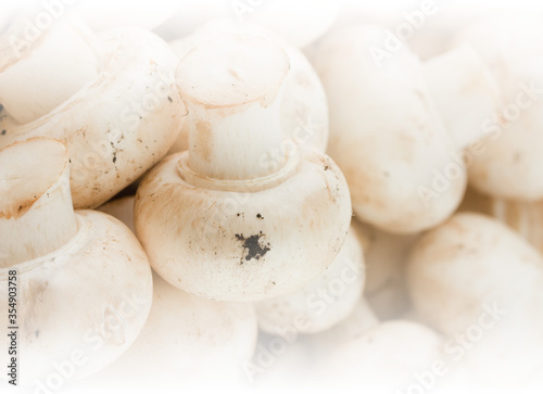  mushrooms