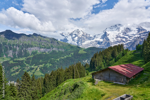 Swiss Alps landscape panorama with green nature and snowy mountains. Taken from Grütschalp - Mürren train, above Lauterbrunnen valley, Bernese Highlands, canton of Bern, Switzerland 