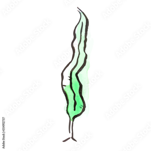 夏のイラスト：海藻