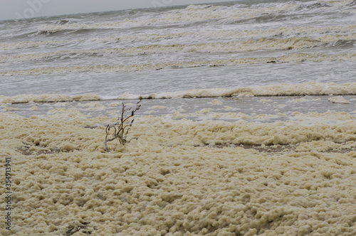Foamy polluted beach view