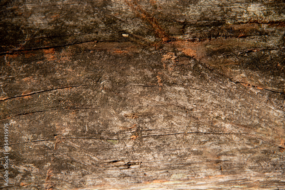 Timbaúva tree (Enterolobium contortisiliquum) wooden board texture Timbaúva tree (Enterolobium contortisiliquum) wooden board texture